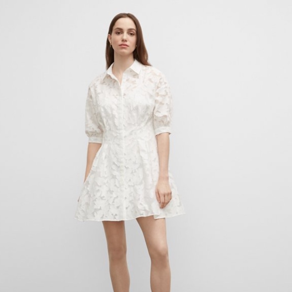 Club Monaco Dress